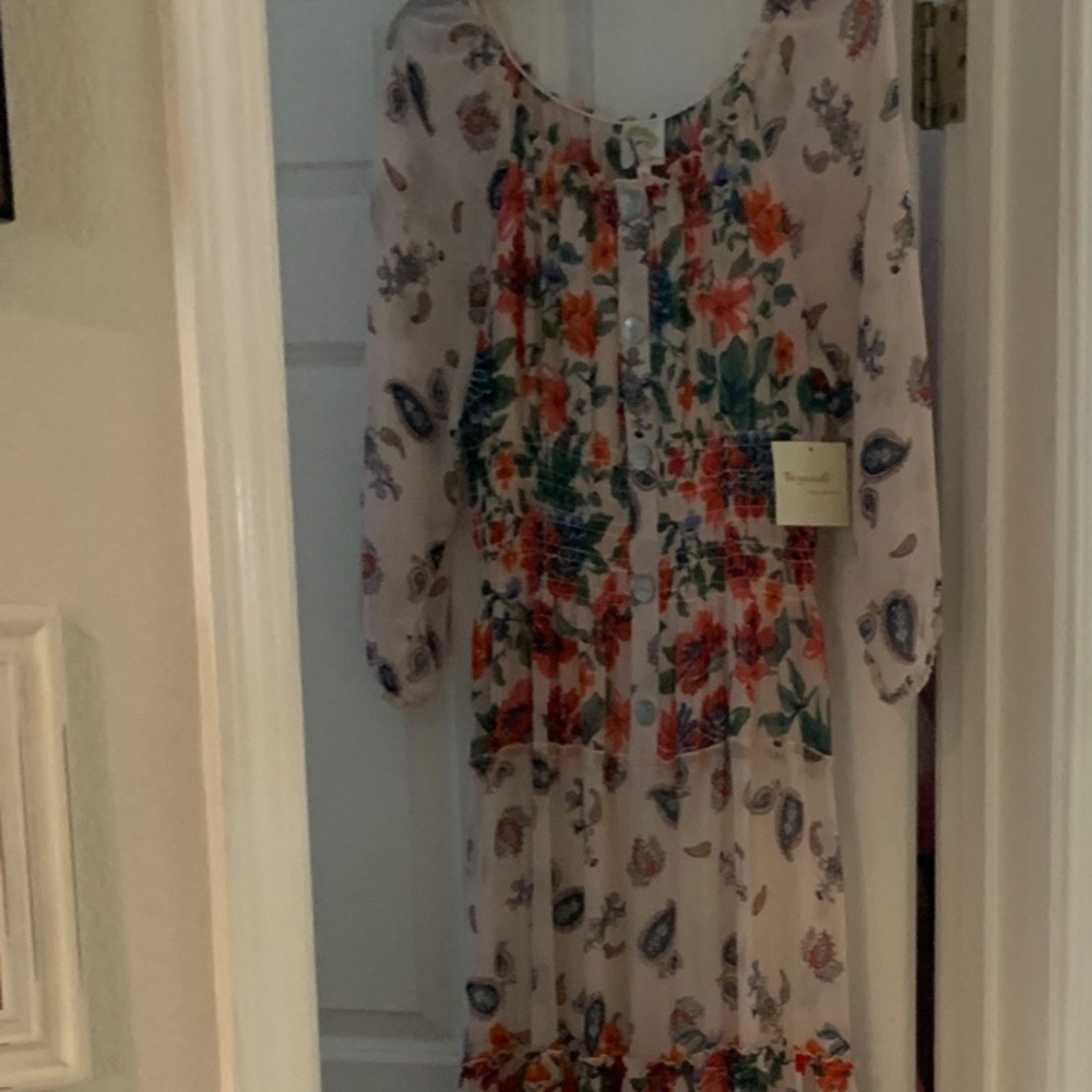 Fig and Flower Multicolor Maxi Dress